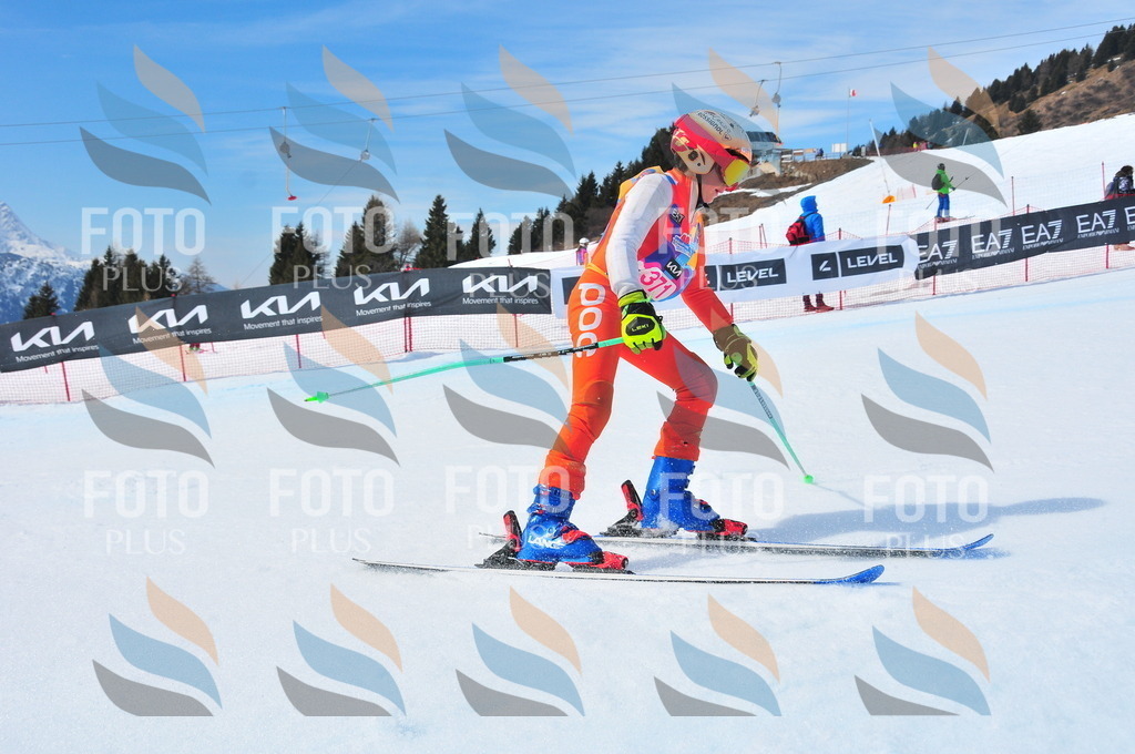 DSC_7144 | holidayphoto