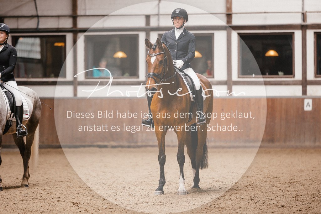 3I6A7421 | Stimmungsvolle Portraits und Reitsportfotografie im Ruhrgebiet und im Münsterland.

Pferdefotografie, Hundefotografie, Tierfotografie, Reportagen, Portraits von Tier und Mensch, Turnierfotografie in Bochum, Recklinghausen, Marl, Haltern am See, Dülmen.. - Realisiert mit Pictrs.com