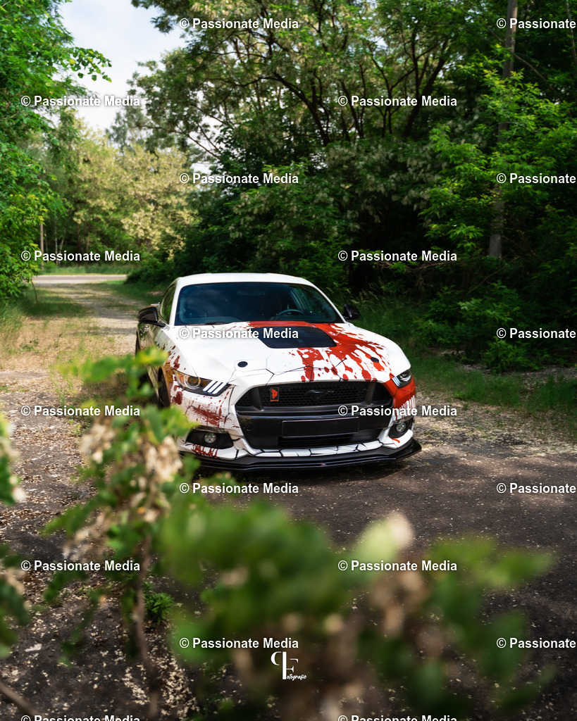 DSC04915 | Passionate Media, dein Fotograf aus Brandenburg, Märkisch Oderland, im Bereich Motorsport, Autos und Motorräder sowie Events und auch Hunde. Shootings oder auch Eventbegleitungen können bei mir gebucht we