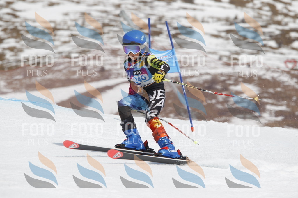 _U3G2676 | holidayphoto