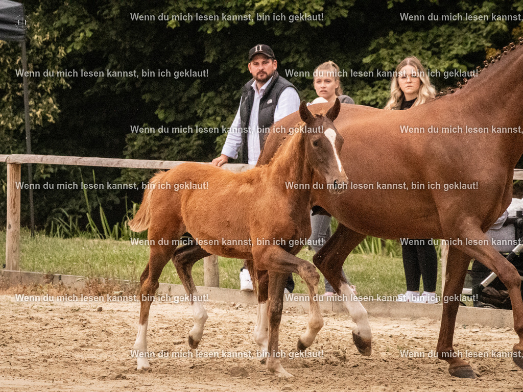 A10I2164 15.54.45 | photographylinaismer - Realisiert mit Pictrs.com