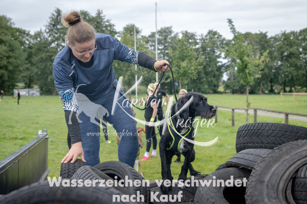 1232_ZZ91173 | kk-dogfotos