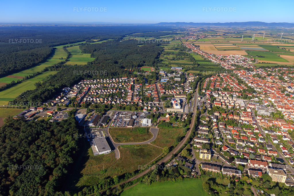 Luftbild: Stadtübersicht aus Osten in Kandel im Bundesland Rheinland-Pfalz in Deutschland. Foto: IMG_094020.jpg vom 23.08.2016 durch Werner Riehm/FLY-FOTO.de