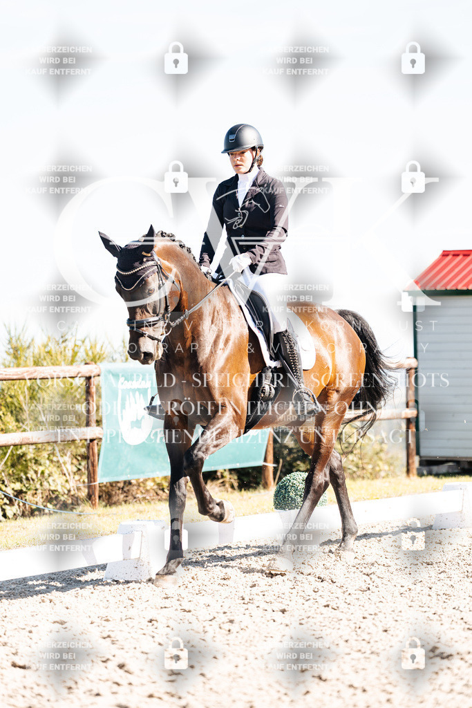CK908736 | Turnierfotografie Pferdefotografie Trier Rheinland-Pfalz Pferdesport Reitsport Tierfotografie Sportfotografie Pferdevideo Pferdevideografie Equestrianvideography equestrianphotography  - Realisiert mit Pictrs.com