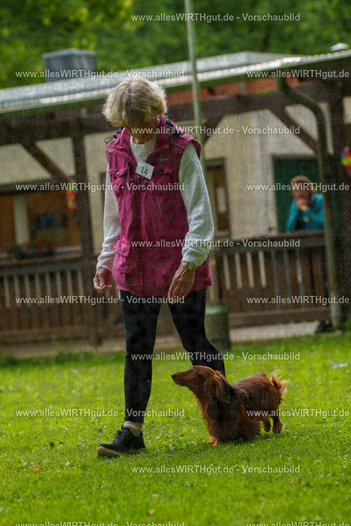 @allesWIRTHgut_Tierfotografie - www.allesWIRTHgut.de - 091009-7R506654 | Professionelle Tierfotografie in Mönchengladbach von Daniel Wirth (allesWIRTHgut). Liebevolle & natürliche Bilder von Hunden & Katzen für unvergessliche Erinnerungen.
