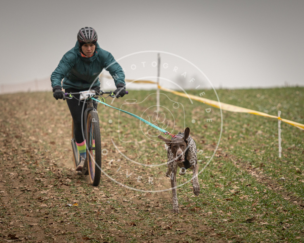 Pfotenfotografie_DV3A3557 | Hundefotografie, Tierfotograf, Pfotenfotografie, Fotoshooting Hund, Hunde Portrait, Hundesport, Hundeportraits, Heideshooting, Hunde, Sportfotograf, Hundefotograf, Turnierhundsport, THS,  - Realisiert mit Pictrs.com