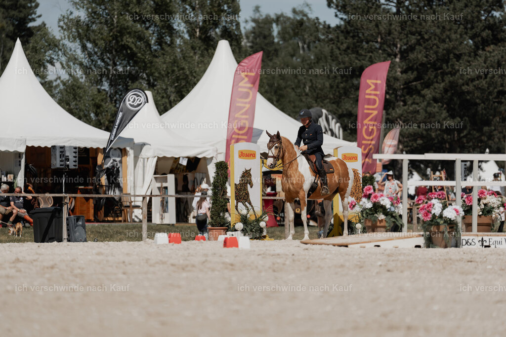 WE_ST_Stoib_344_PI2025_1324 | Pferd International München 2025