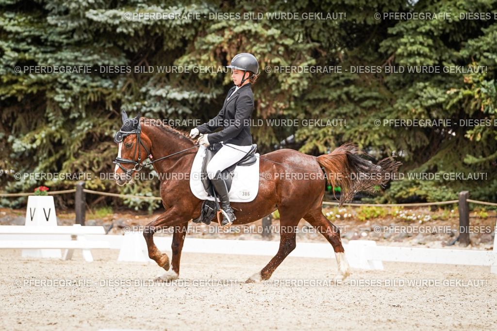 DSC04453 | Pferdegrafie