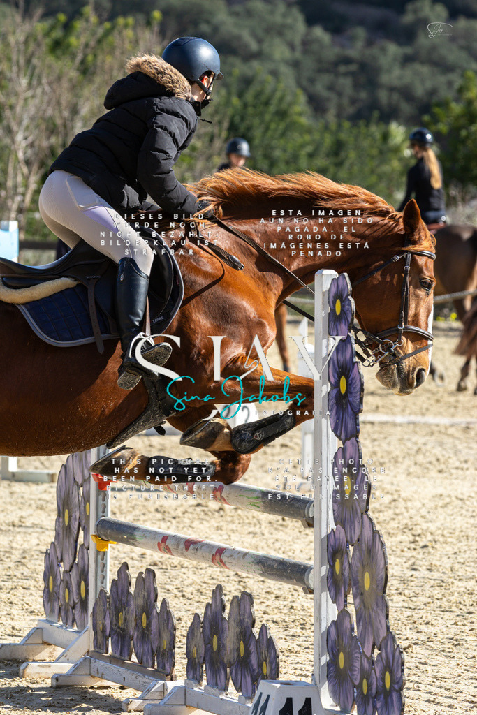 IMG_3901 | s-jay-photography - Realized with Pictrs.com