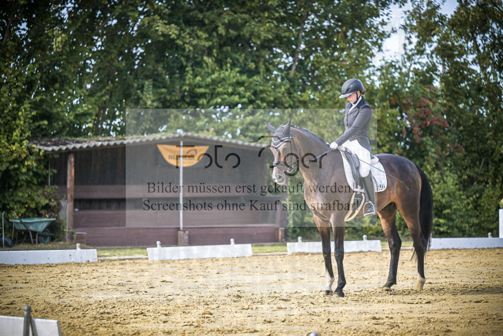 DOS_8813 | Entdecke hochwertige Reitturnierfotos von Foto Oger. Professionell, emotional und authentisch – jetzt Lieblingsmomente im Shop bestellen.Deutschlandweite Turnierfotografie. - Realisiert mit Pictrs.com