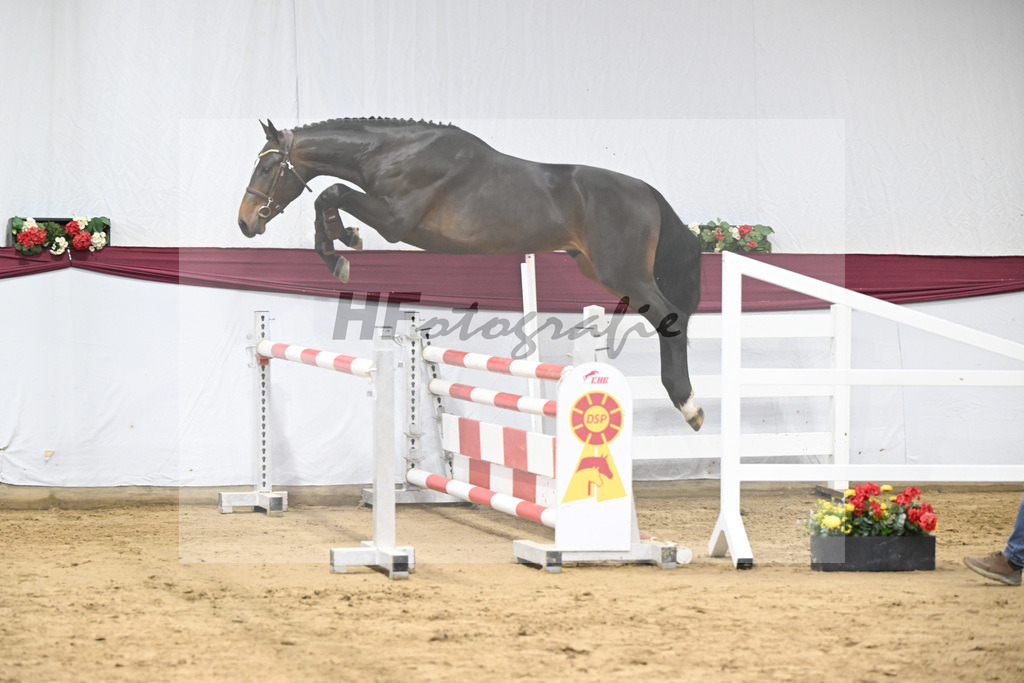 Kat-Nr. 103 Pifte van het Houtemhof x Indoctro_Anna-Sophie Kosch_47253302 | hf-fotografie - Realisiert mit Pictrs.com