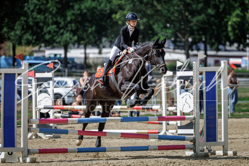20260905-_3LI8896 | Tierfotografie Pferde, Hunde, Katzen, Haustiere.
Turnierfotografie Reitturniere, Reiten, Springreiten, Dressur in Hanau, dem Main-Kinzig-Kreis und dem Rhein-Main- Gebiet um Frankfurt