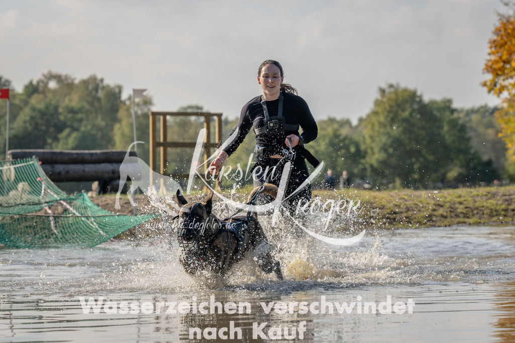 1424_ZZ92478 | kk-dogfotos