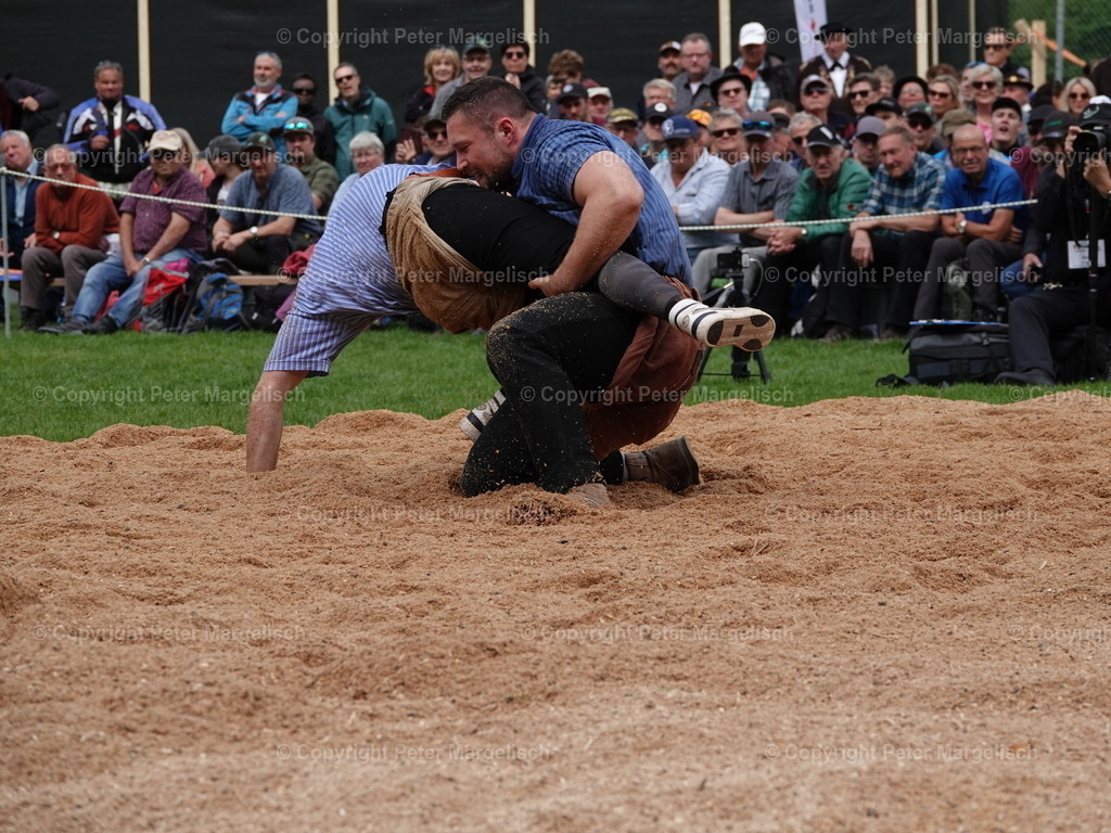 DSC07159 | Schwingen - Realisiert mit Pictrs.com