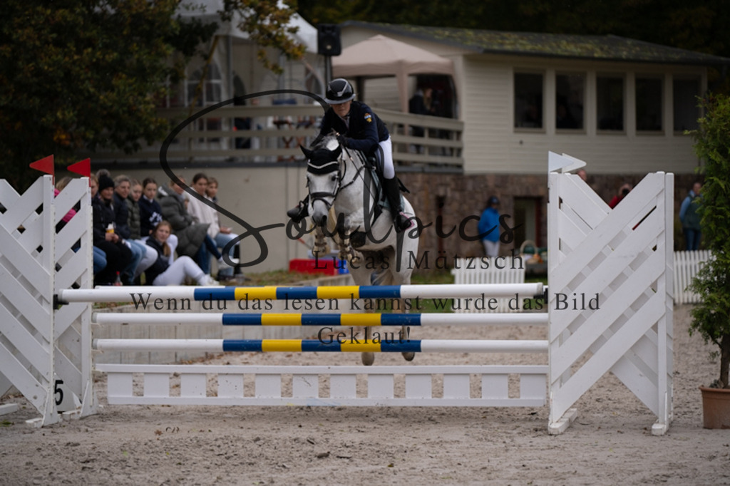 A7V09567 | Pferdefotograf