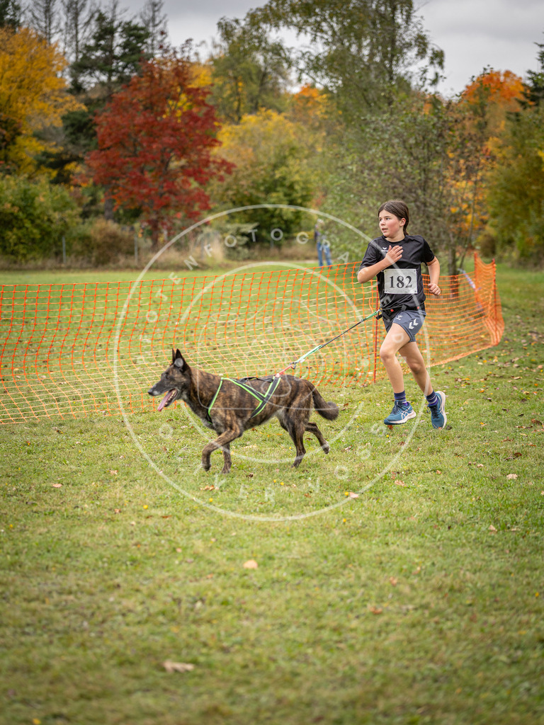 Pfotenfotografie_DV3A3717 | Hundefotografie, Tierfotograf, Pfotenfotografie, Fotoshooting Hund, Hunde Portrait, Hundesport, Hundeportraits, Heideshooting, Hunde, Sportfotograf, Hundefotograf, Turnierhundsport, THS,  - Realisiert mit Pictrs.com