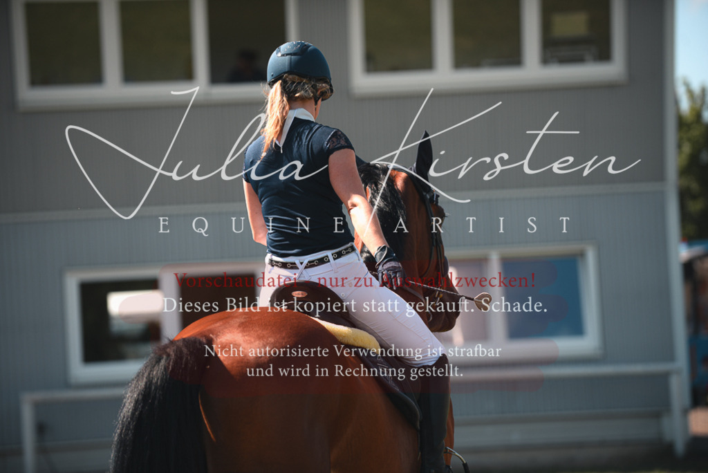 DSC_7040 | Pferde- und Turnierfotografie in Westsachsen. Pferdeportraits, Auftragszeichnungen und intuitive Kunst.