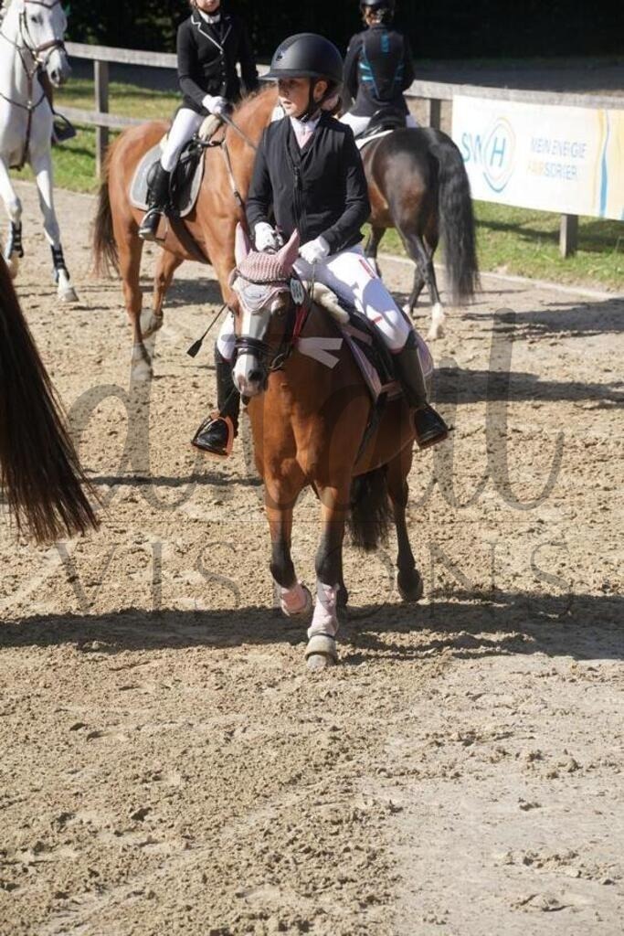 rveinoedsonntag (515) | d.tail Visions - Shop - Realisiert mit Pictrs.com