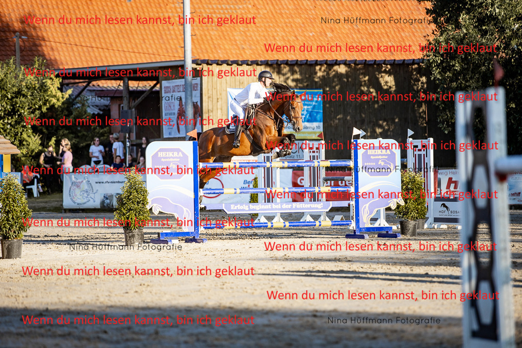 BK1A8541 | Turnierbilder Turnierfotos Nina Hüffmann Turnierfotografie Pferdefotografie Tierzeichnung Haustierzeichnung Pferdezeichnung Hundezeichnung Videograf  - Realisiert mit Pictrs.com