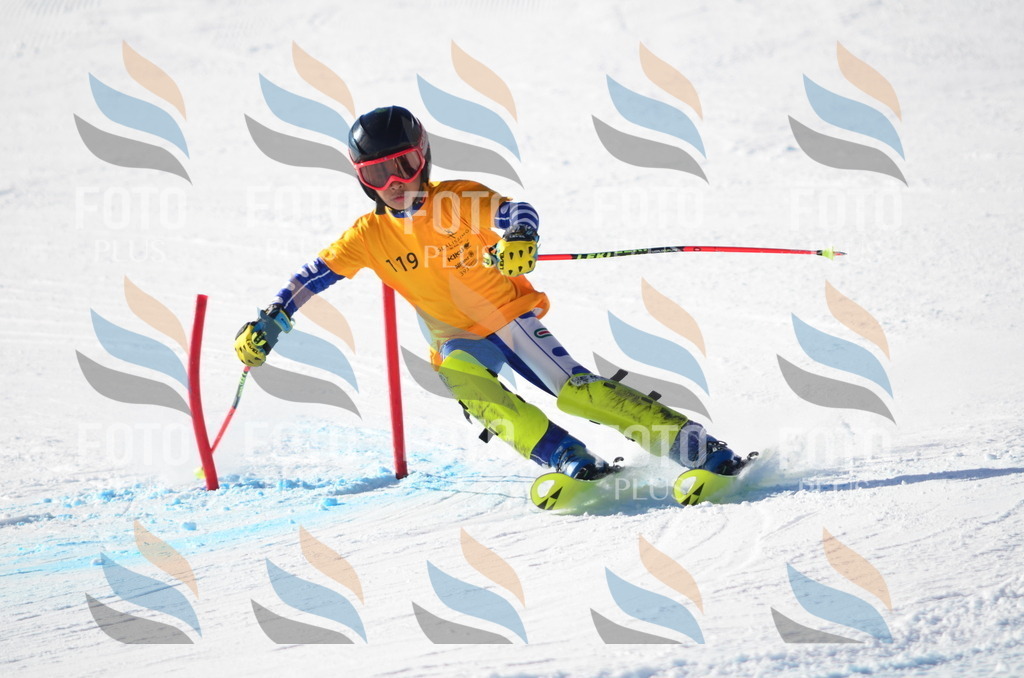 C6342 | holidayphoto