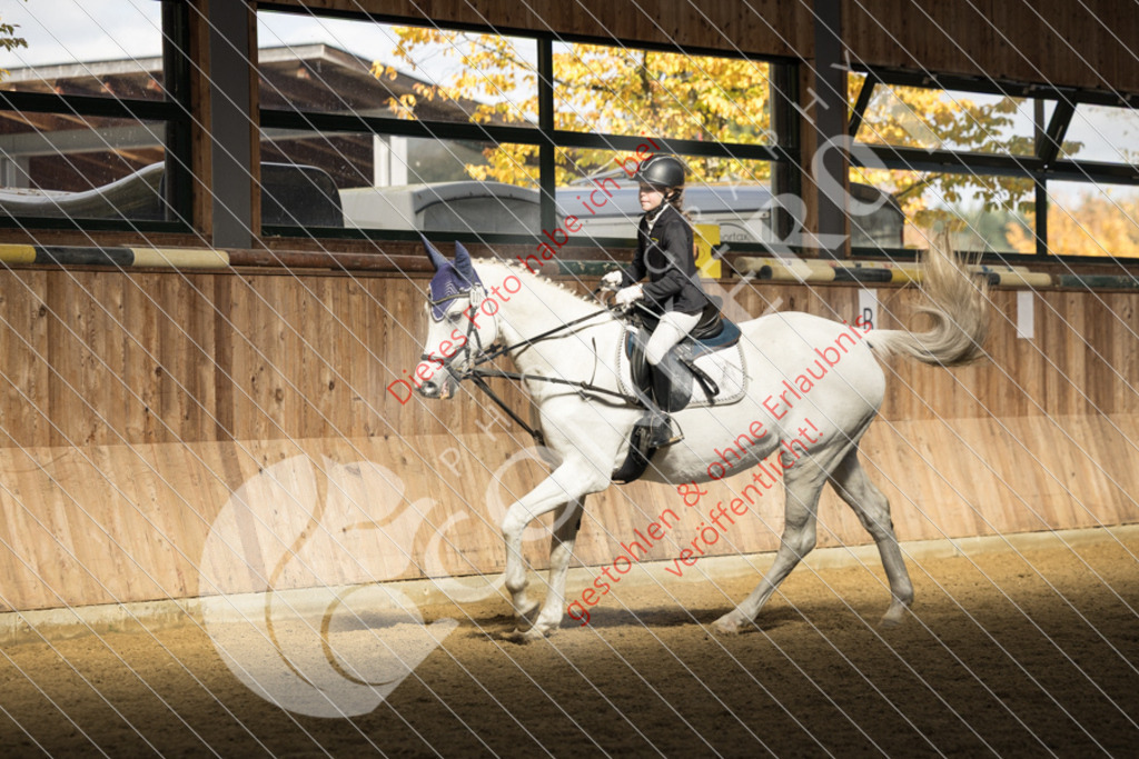 CON_6093 | Sport-, Event- und Tierfotos in Profiqualität. Einfach auswählen, bestellen und herunterladen. Dein Moment – perfekt festgehalten.