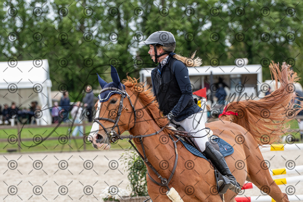 KPT_8493 | andre_photographic