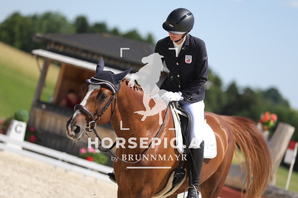 0P6A6810 | Willkommen bei Brunnmayr - Design & Fotografie – Ihrem Spezialisten für Reitturniere und Pferdeveranstaltungen in Oberösterreich, Salzburg und Bayern! Seit über 17 Jahren sind wir leidenschaftlich dabei.