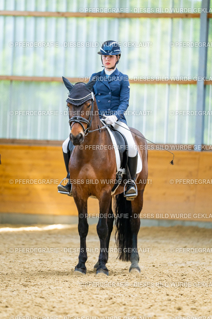 DSC09428 | Pferdegrafie