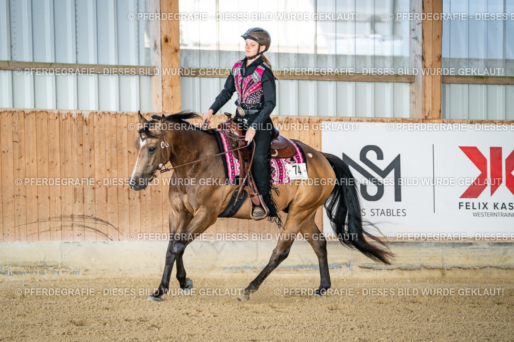 DSC07878 | Pferdegrafie