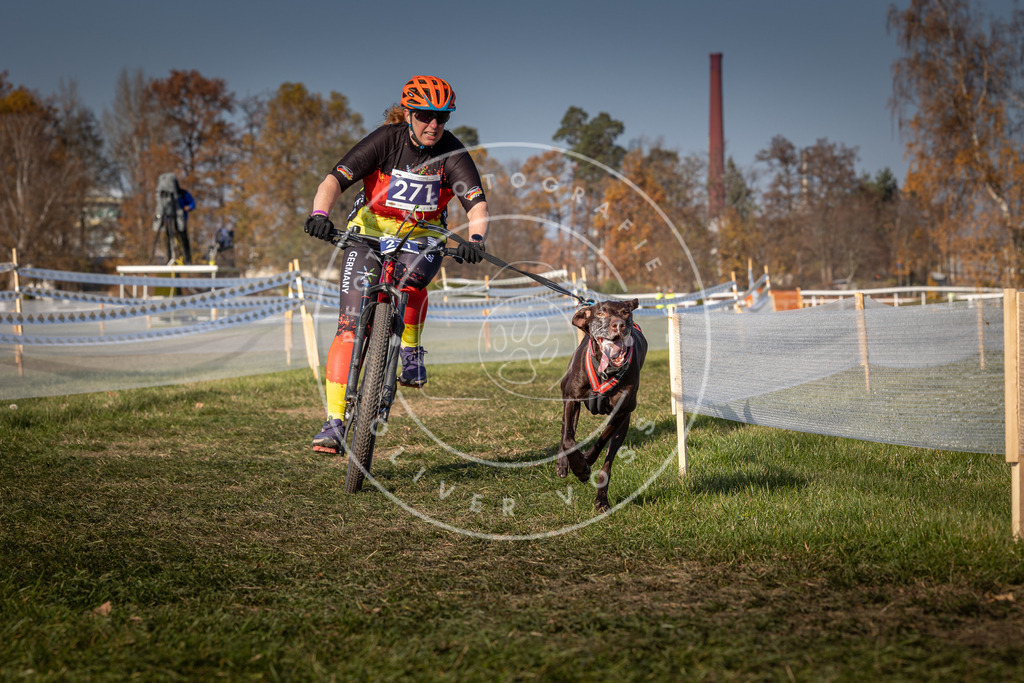 CaniXpix_0L8A7845 | Hundefotografie, Tierfotograf, Pfotenfotografie, Fotoshooting Hund, Hunde Portrait, Hundesport, Hundeportraits, Heideshooting, Hunde, Sportfotograf, Hundefotograf, Turnierhundsport, THS,  - Realisiert mit Pictrs.com