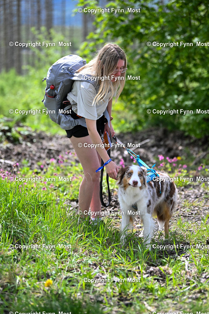 DSC_4616 | Hallo und herzlich Willkommen auf meiner Shop-Seite Fynn Most.

Ich wünsche Dir viel Spaß beim stöbern durch die Bilder, wenn Du Fragen hast oder Bilder vermisst, kannst du mir gerne eine Nachricht schreiben. - Realisiert mit Pictrs.com