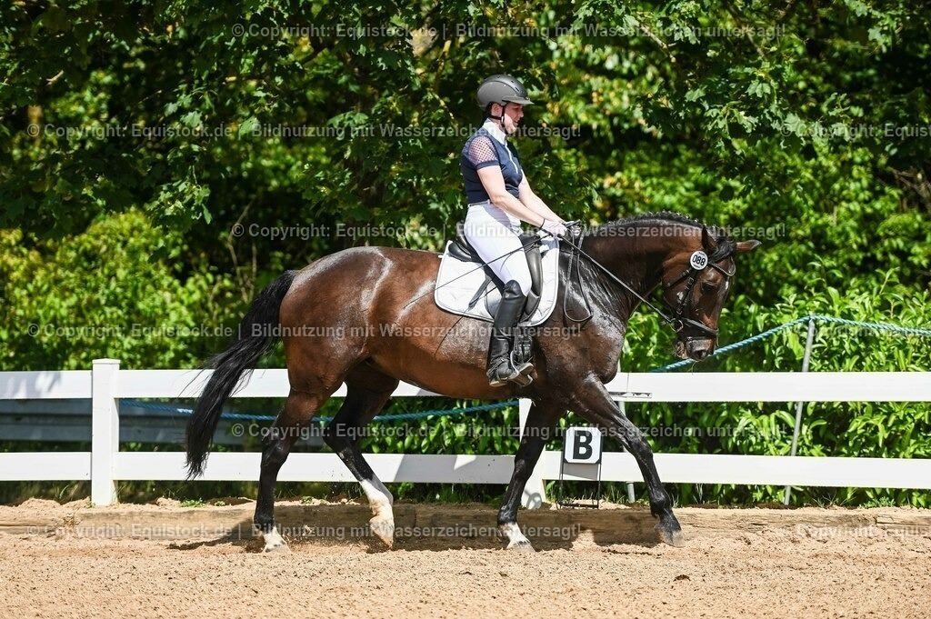 20230715_02_Dressurreiterprüfung Kl.L_0106 | equistock