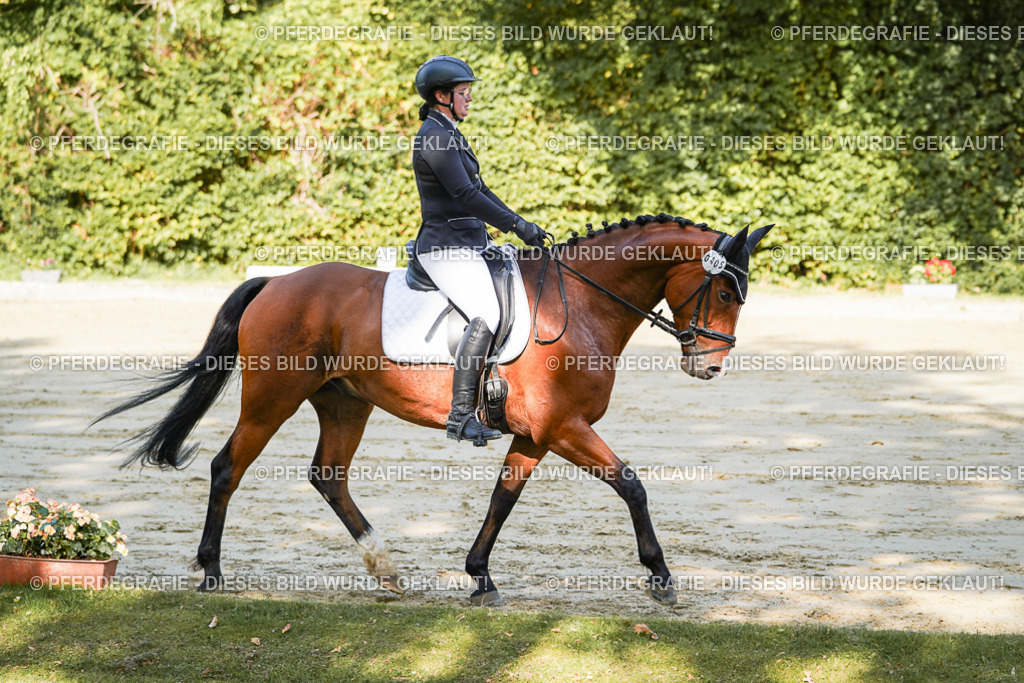 DSC08402 | Pferdegrafie