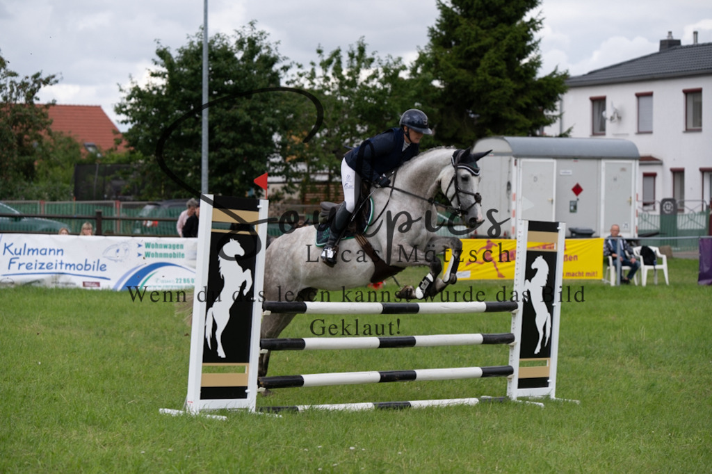 A7V04029 | Pferdefotograf