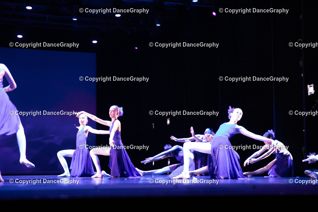 GPHY5143 | DanceGraphy - Realisiert mit Pictrs.com