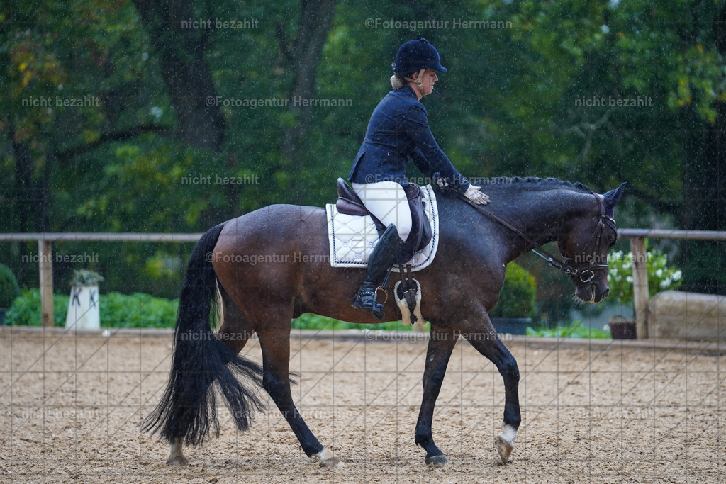 20221008-FAH02055 | Diessen am Ammersee, 2022, Dressur- und Springturnier, Reitsportbilder, Turnierfotografen Bayern, Pferdefotografen, Fotoagentur Herrmann, Turnierbilder