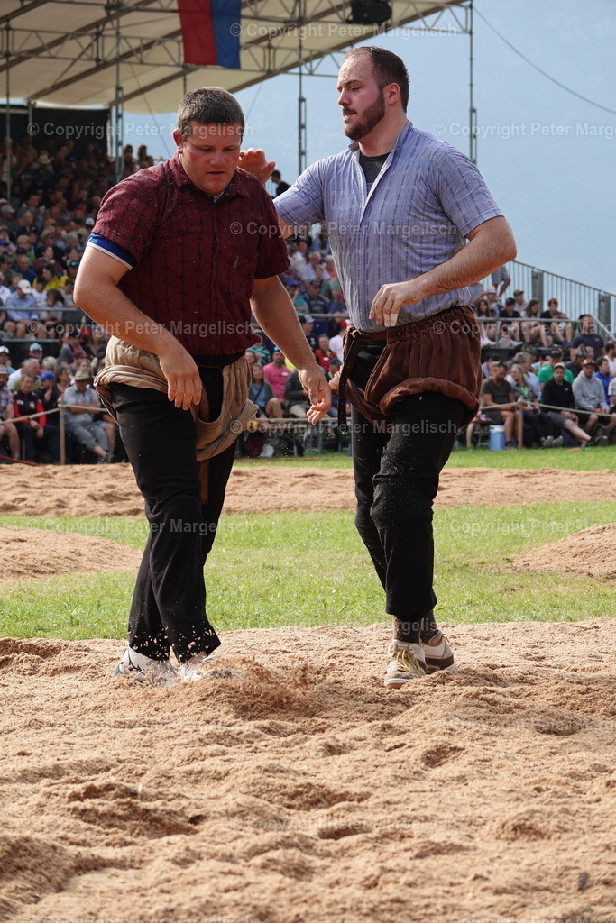 DSC01200 | Schwingen - Realisiert mit Pictrs.com