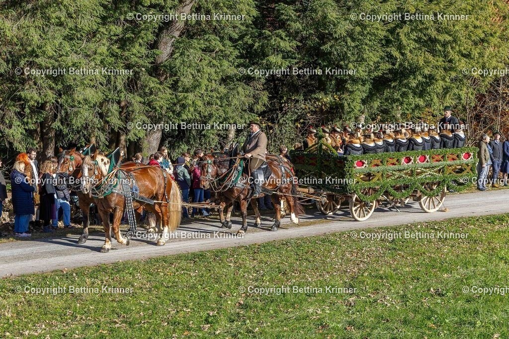 LBT25-693 | foto-bettina-krinner - Realisiert mit Pictrs.com