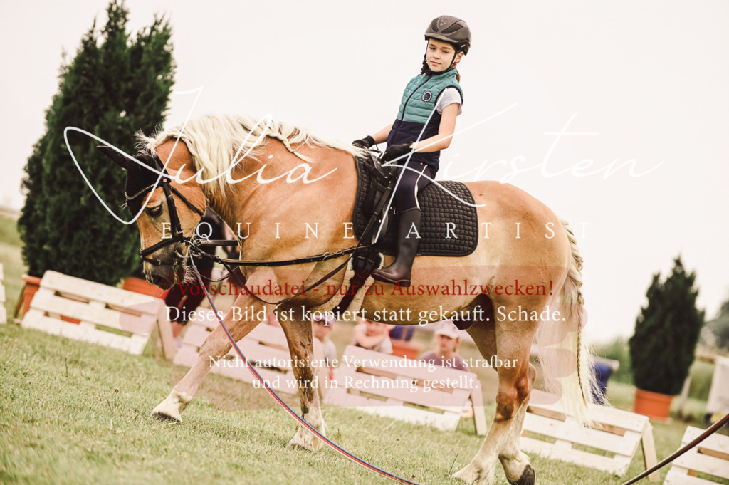 DSC_5299 | Pferde- und Turnierfotografie in Westsachsen. Pferdeportraits, Auftragszeichnungen und intuitive Kunst.