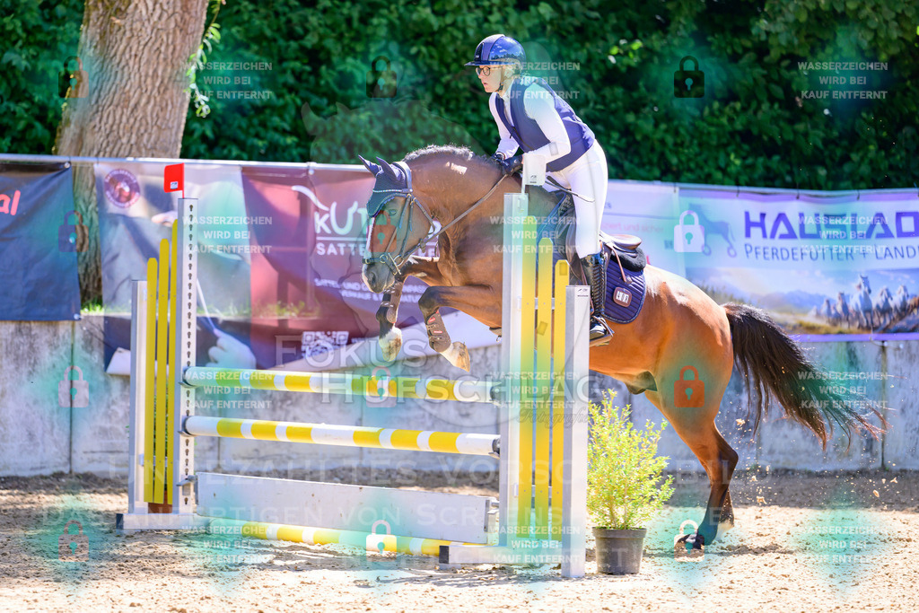 29082026-Giesenbach-Prfg10-0877 | Fokus Hufschlag Fotografie - Realisiert mit Pictrs.com