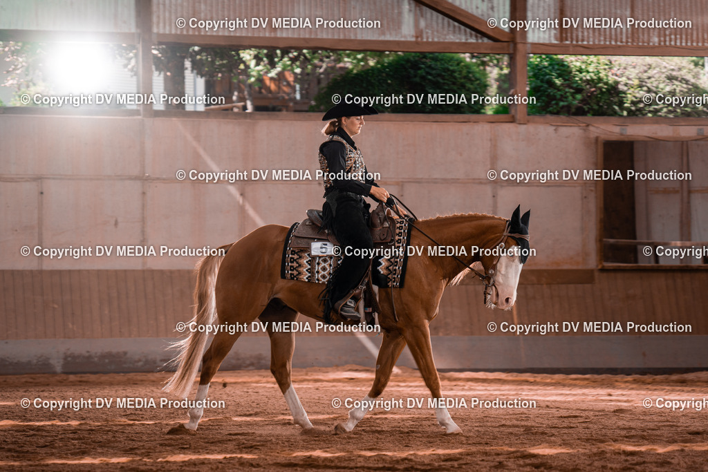 NE100358 | dv-media-shop - Realisiert mit Pictrs.com