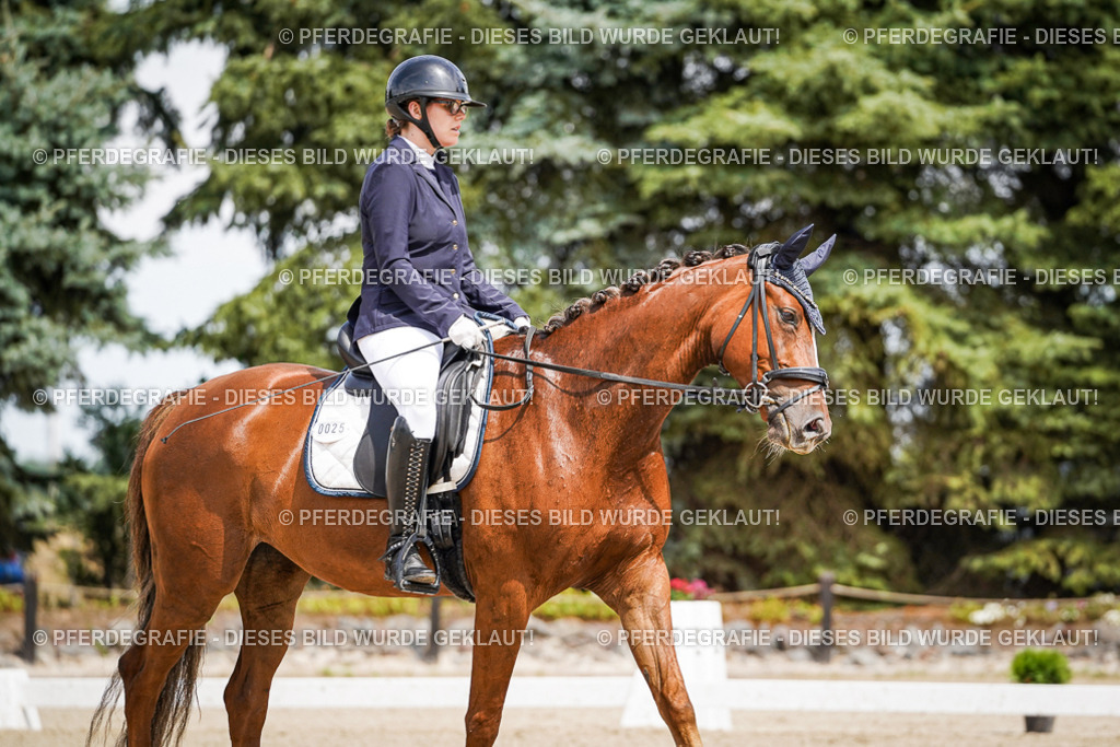 DSC02049 | Pferdegrafie