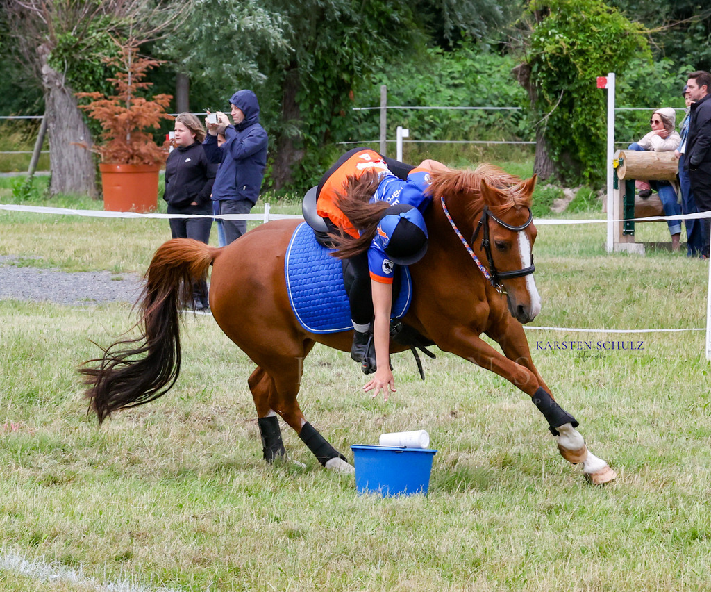 1B3A1250 | Reitsport Reiten