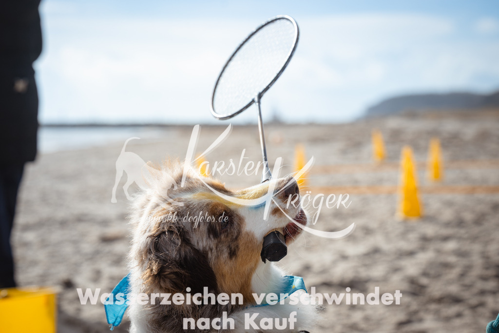 1241_ZZ98243 | kk-dogfotos