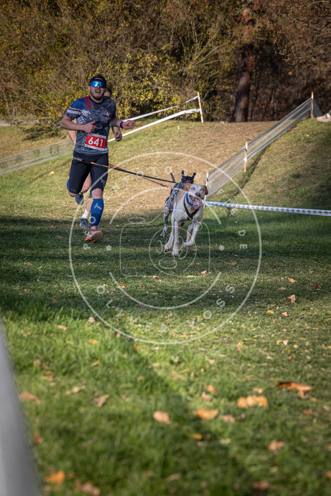 CaniXpix_0L8A9007 | Hundefotografie, Tierfotograf, Pfotenfotografie, Fotoshooting Hund, Hunde Portrait, Hundesport, Hundeportraits, Heideshooting, Hunde, Sportfotograf, Hundefotograf, Turnierhundsport, THS,  - Realisiert mit Pictrs.com