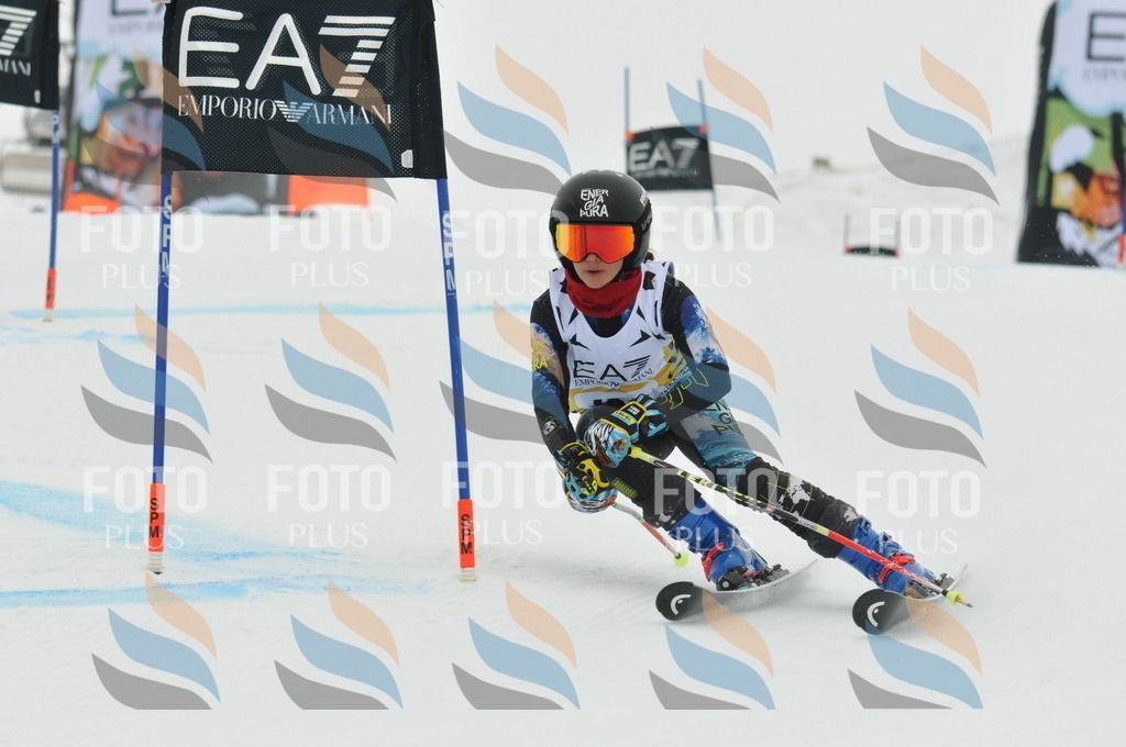 DSC_8219 | holidayphoto