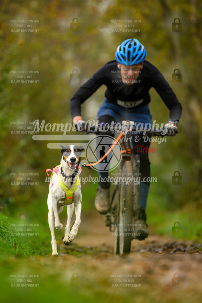 MompixPhotography_20TSB_E6_Bike-105 | PayLife