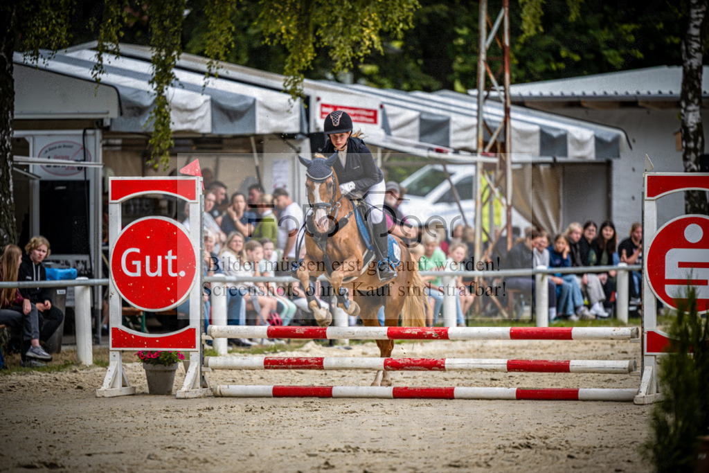 Turnier Laggenbeck 2026-15-0188 | Entdecke hochwertige Reitturnierfotos von Foto Oger. Professionell, emotional und authentisch – jetzt Lieblingsmomente im Shop bestellen.Deutschlandweite Turnierfotografie. - Realisiert mit Pictrs.com