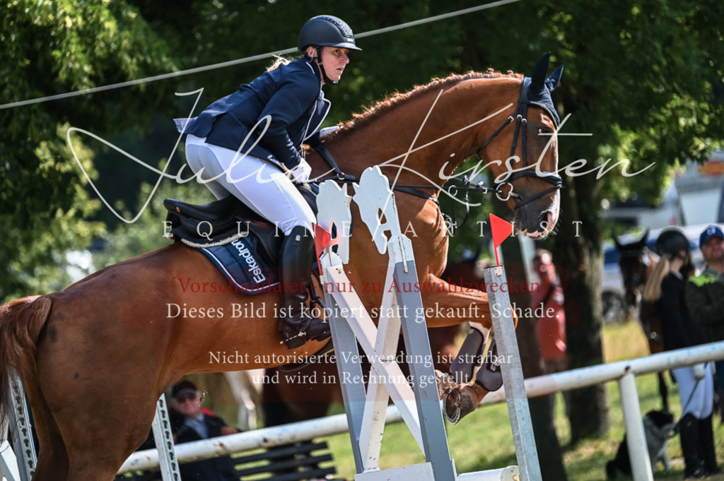 DSC_7752 | Pferde- und Turnierfotografie in Westsachsen. Pferdeportraits, Auftragszeichnungen und intuitive Kunst.