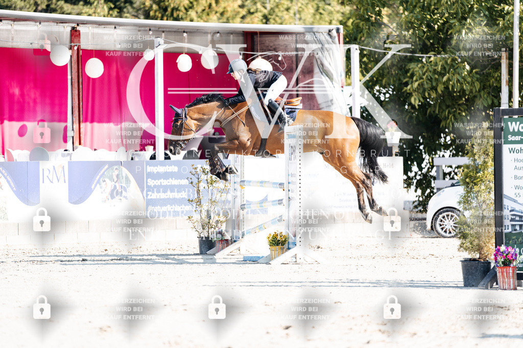 CK901703 | Turnierfotografie Pferdefotografie Trier Rheinland-Pfalz Pferdesport Reitsport Tierfotografie Sportfotografie Pferdevideo Pferdevideografie Equestrianvideography equestrianphotography  - Realisiert mit Pictrs.com